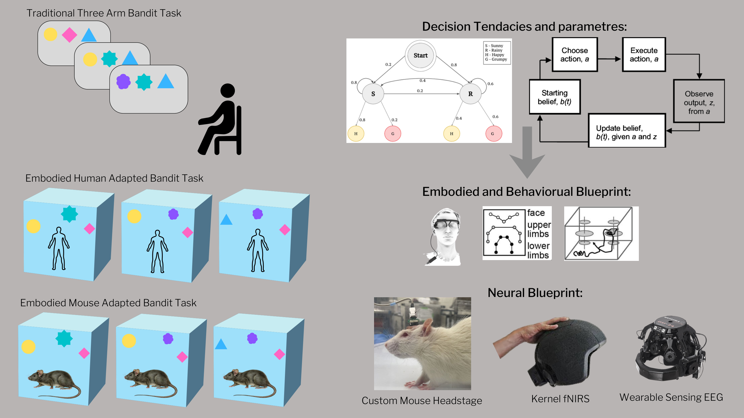 Human–Mouse modelling alignment figure