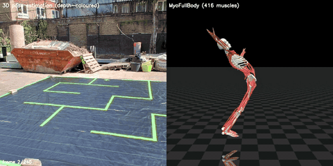 Sensorimotor — paired neural and behavioural trajectory
